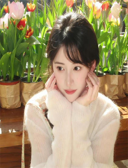 瓢虫少女 第一季最佳观看顺序指南：系列作品观看建议